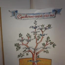 Wosinsky Mór Megyei Múzeum, Szekszárd - Egyéb