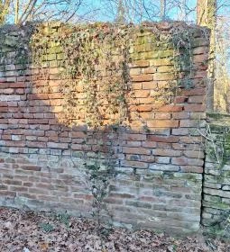 Zala-szigeti romtemplom (Remetei romtemplom)