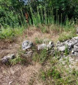 Kerekszenttamási templomrom 