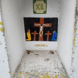 Zámorhegyi Remeteség, Pusztazámor - Egyéb