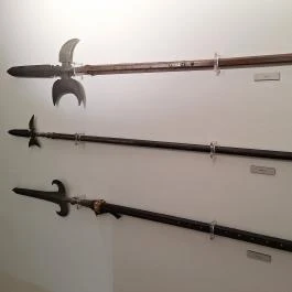 Zempléni Múzeum, Szerencs - Egyéb