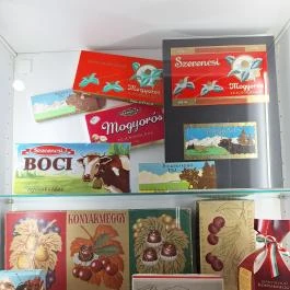 Zempléni Múzeum, Szerencs - Egyéb