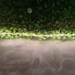 Zen Eatery Budapest - Egyéb