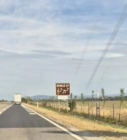 Zenélő út 21. főút