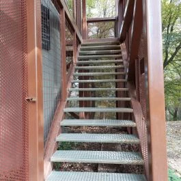 Zengő-kilátó Pécsvárad - Belső