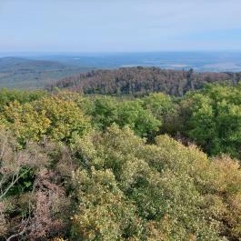 Zengő-kilátó Pécsvárad - Egyéb