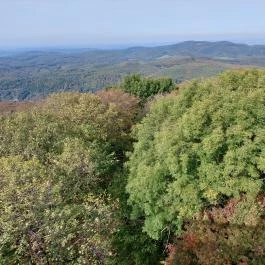 Zengő-kilátó Pécsvárad - Egyéb