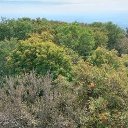 Zengő-kilátó Pécsvárad - Egyéb