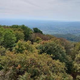 Zengő-kilátó Pécsvárad - Egyéb