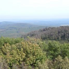 Zengő-kilátó Pécsvárad - Egyéb