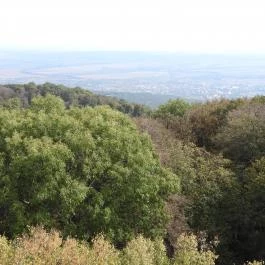 Zengő-kilátó Pécsvárad - Egyéb