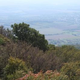 Zengő-kilátó Pécsvárad - Egyéb