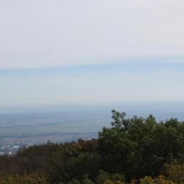 Zengő-kilátó Pécsvárad - Egyéb