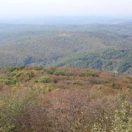 Zengő-kilátó Pécsvárad - Egyéb