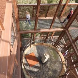 Zengő-kilátó Pécsvárad - Belső