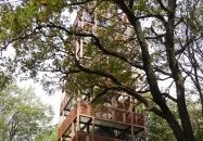 Zengő-kilátó Pécsvárad