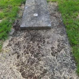 Zichy-kastély, Zichyújfalu - Egyéb