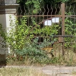 Zichy-kastély Soponya - Külső kép