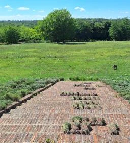 Zichy- (kis-) kastély