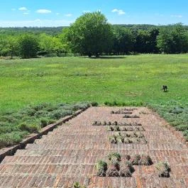 Zichy- (kis-) kastély Alsóbogát - Külső kép