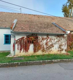 Zöldkert Vendéglő