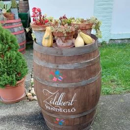 Zöldkert Vendéglő, Harkány - Egyéb