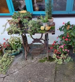 Zöldkert Vendéglő