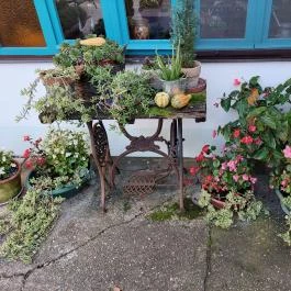 Zöldkert Vendéglő, Harkány - Egyéb