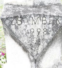 Zsámbék-Wettenberg emlékoszlop