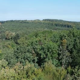 Zselici Csillagpark Zselickisfalud - Egyéb