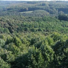 Zselici Csillagpark Zselickisfalud - Egyéb