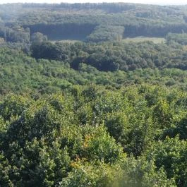 Zselici Csillagpark Zselickisfalud - Egyéb