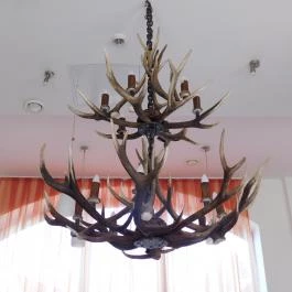 Zselicvad Étterem Bőszénfa - Belső