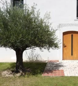 Zsidó Kiválóságok Háza