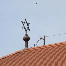 Zsinagóga Kiskunhalas - Egyéb