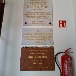 Zsinagóga Kiskunhalas - Egyéb