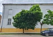 Zsinagóga Mezőtúr