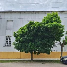 Zsinagóga Mezőtúr - Külső kép