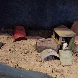 Magyar Tragédia 1944. kiállítóhely , Hódmezővásárhely - Egyéb