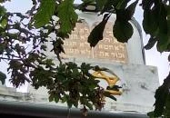 Zsinagóga Nagykőrös