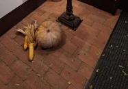 Zsindelyes Cottage Érpatak