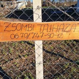 Zsombi tájháza Geszt - Egyéb