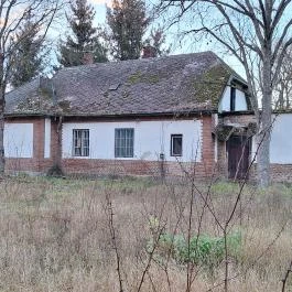 Zsuzsi emlékhely, Nyíracsád - Külső kép