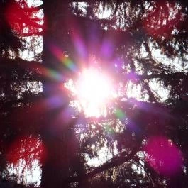 Thermal Hotel Victoria Hajdúszoboszló - Környék