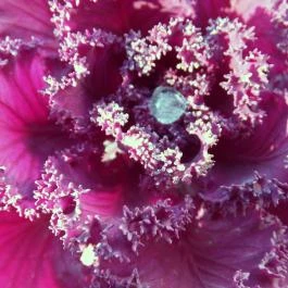 Thermal Hotel Victoria Hajdúszoboszló - Környék