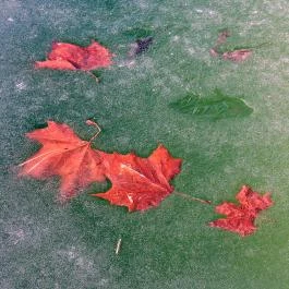 Thermal Hotel Victoria Hajdúszoboszló - Környék