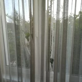 Triász Aparthotel Kehidakustány - Egyéb