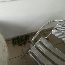 Triász Aparthotel Kehidakustány - Egyéb