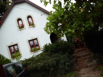 Kurta Apartman Noszvaj