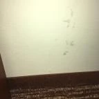 Thermal Hotel Visegrád Visegrád - Egyéb